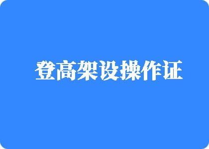 骚货塞进去登高架设操作证